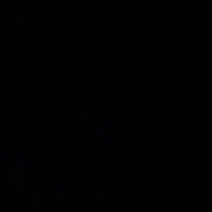 Meet your Posher, Katelyn